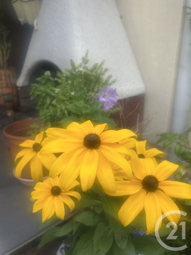 Afficher la photo en grand Maison à vendre - 6 pièces - 115 m2 - Stains - 93 - ILE-DE-FRANCE